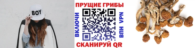 Псилоцибиновые грибы прущие грибы  Каменск-Шахтинский 